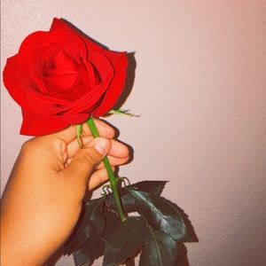 Meet your Posher, Evelyn